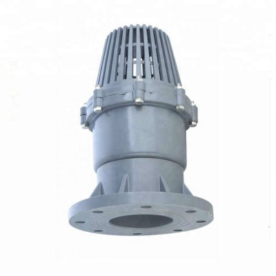 PVC Flange End Foot Valve