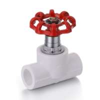 ppr gate valve